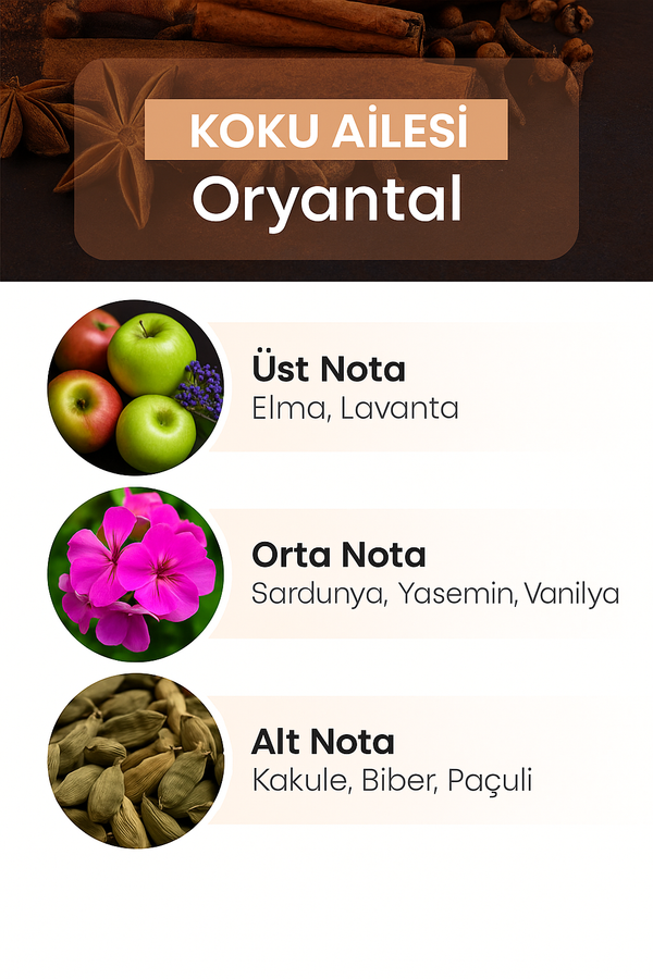 E-239 Frequence Men's Perfume EDP 50 ML